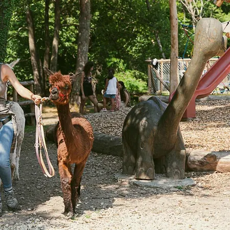 Camping Ca Stella Del Monte San Giorgio *